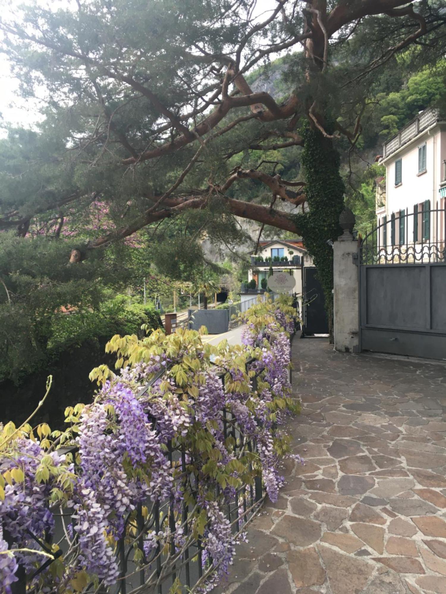 Villa 바레나 외부 사진