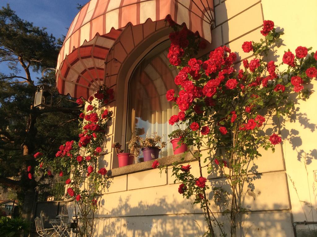 Villa 바레나 외부 사진